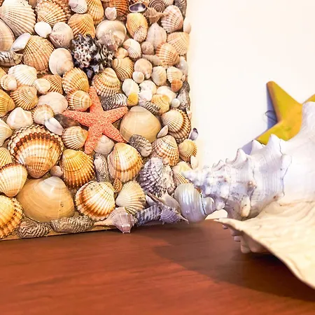 A Schiera Su Due Livelli Con Giardino Metaponto