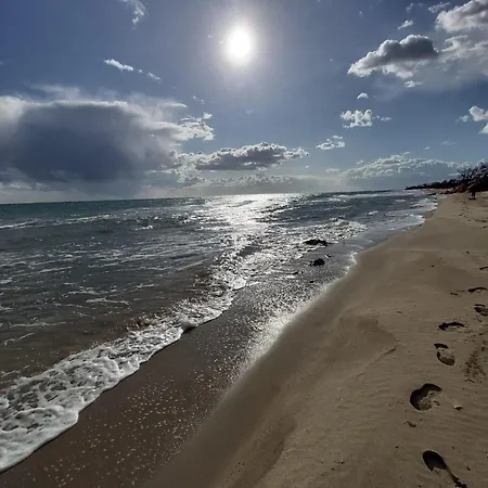 A Schiera Su Due Livelli Con Giardino