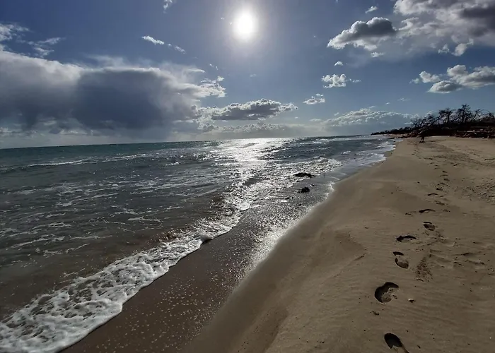 A Schiera Su Due Livelli Con Giardino